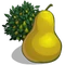Pear Tree-icon.png