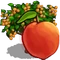 Peach Tree-icon.png