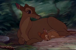 Bambi 049.jpg