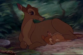 Bambi 049
