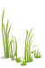 Grass2-icon.png