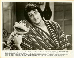 Scooter stallone