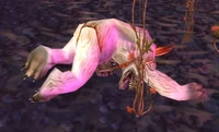 Image of Young Furbolg Shaman