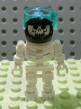 7775 Skeleton