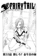 Cover 33