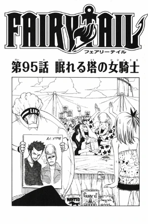 Cover 95