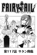 Cover 117