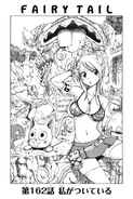 Cover 162