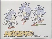 Hedgehog