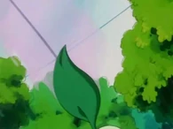 EP146 aroma dulce