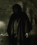 Younghagrid.jpg
