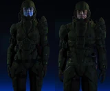 Medium-human-Freedom