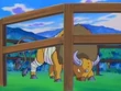 EP287 Tauros