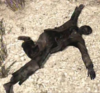 Rdr california sam