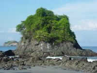 Manuel Antonio