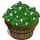 Lemon Balm Bushel-icon