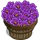Saffron Bushel-icon