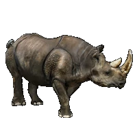 Huge item Rhinoceros 01.gif