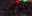 Mukkir (Town Network Painting) Live