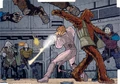 WookieeFlyingLessons.jpg