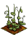 Peas green.png