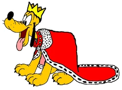 Pluto The Royal Dog