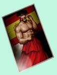 Mr matador