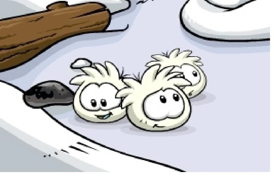 Club+penguin+pictures+of+puffles+and+penguins