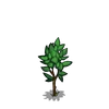 Pear Tree Sapling-icon.png