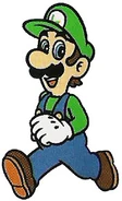 Luigi SMB2-2