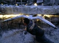 Frozen wheel