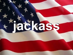 Jackass flag.jpg