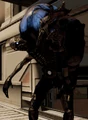 Scion Frontal.png