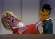 PDVD 013