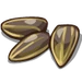Sunflower Seeds-icon.png