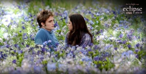 Eclipse-Movie-Stills-eclipse-movie-13228227-901-456