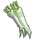 Daikon-icon