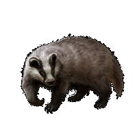 Huge item badger 01.gif