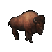Item buffalo 01.gif