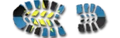 NPOtag.png