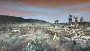 Rdr gaptooth ridge