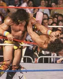 Ultimate Warrior11