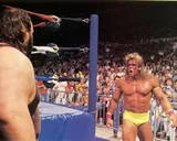 Ultimate Warrior18
