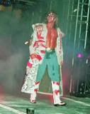 Ultimate Warrior20