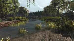 Rdr stillwater creek