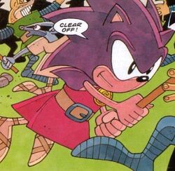 STC107-Bravehog