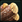Tecoma Log