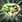 Brilliant Aether