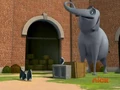 Elephant-001.JPG