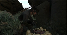 Treasure Hunter
